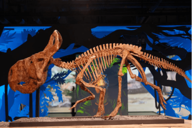 重返恐龙纪元——大型科普艺术巡回展首站登陆上海如美术馆 