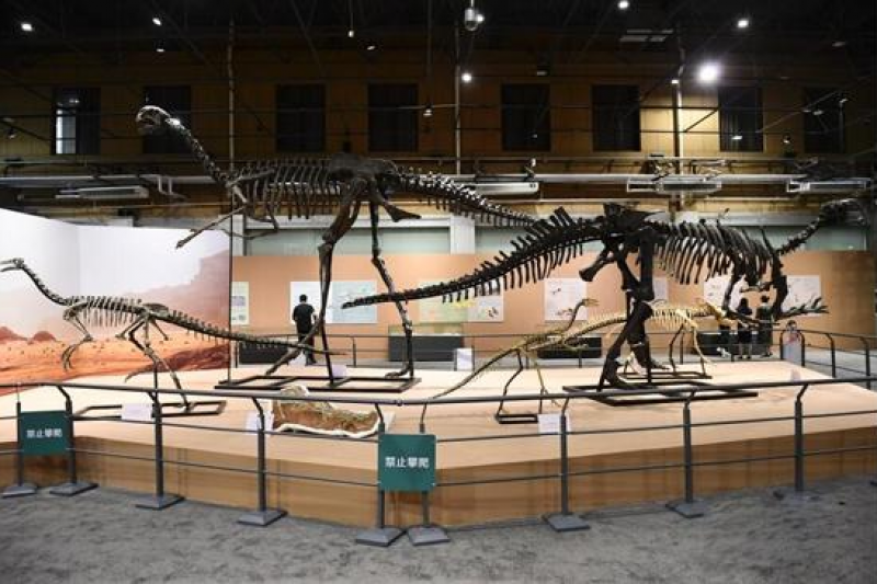 “龙行戈壁――内蒙古白垩纪恐龙展”在北京自然博物馆开展