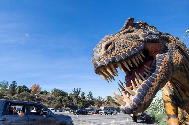 美国加州举办免下车恐龙展 观众乘车参观互动 
